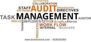 pelatihan Audit Management