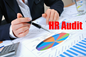 training Auditing HR Processes