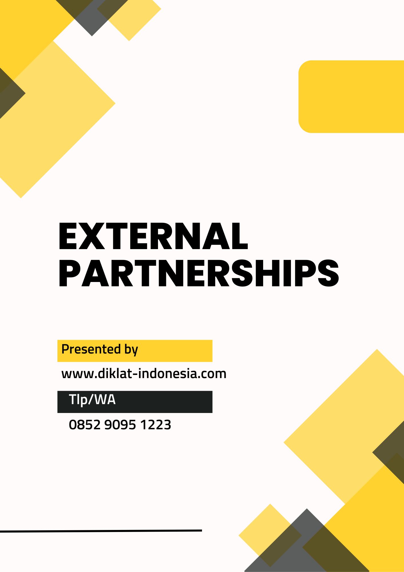 External Partnerships