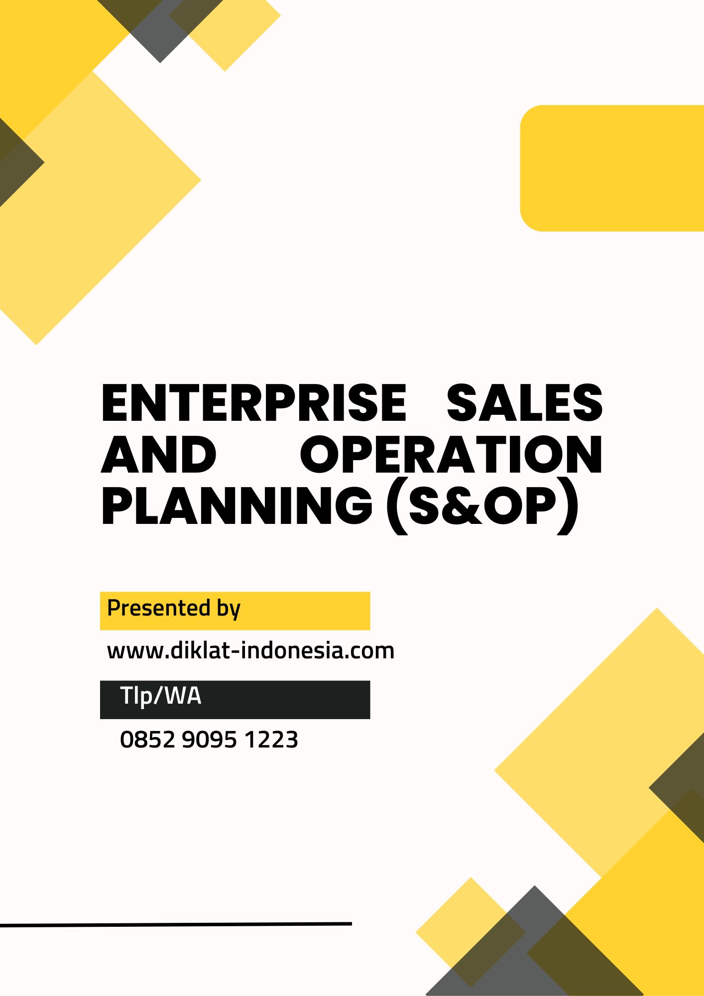 Enterprise Sales and Operation Planning (S&OP)